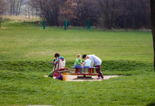 5. 드로브지스코..