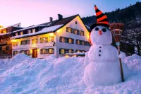 Sonne Bezau Hoteles en 