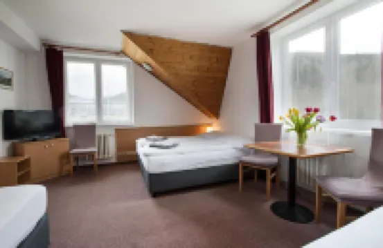 Hotel Harrachov Inn Hotels in Harrachov