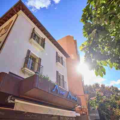 Hotel Bosch Boutique Hotel Exterior