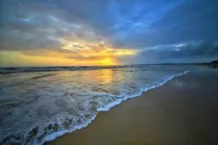Planet Hollywood Beach Resort Goa - Beach