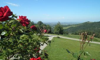 Agriturismo Cavazzone