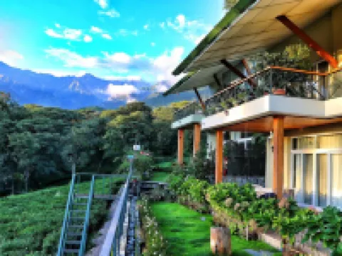 Lamrin Norwood Green Palampur, Himachal Pradesh Hotels in Palampur