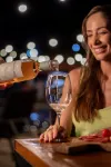 Cataratas Park Hotel e Eventos - bars