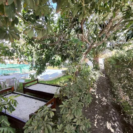 Cabanas Yunkai