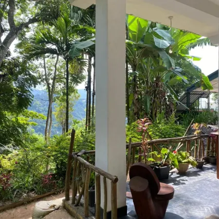 Mango Shadow Inn Ella