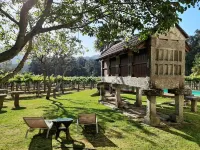 Os Areeiros Turismo Rural & Bodega โรงแรมใน