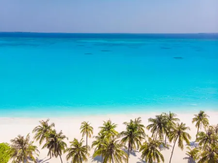 Hondaafushi Island Resort Отели в г. Nolhivaranfaru