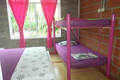La Casa Mono Cuco Hostel Hotels near Playa Blanca