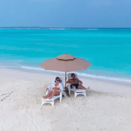 Pavona Maldives