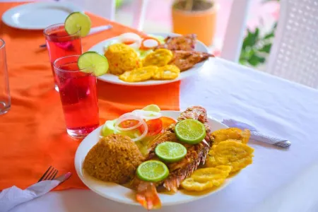 Casa Hotel Las Antillas Отели в г. Толу