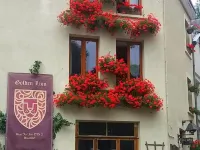 金獅住宿加早餐旅館 布永酒店