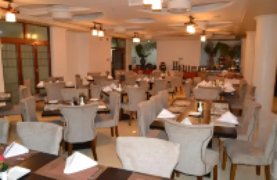 The White Rhino Hotel