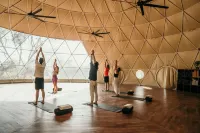 Alaya B&B - Yoga & Surf Retreat - ジム