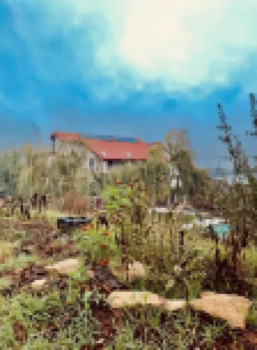 Pensiunea 4 Salcii Hotels in 