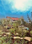 Pensiunea 4 Salcii Hotels in 