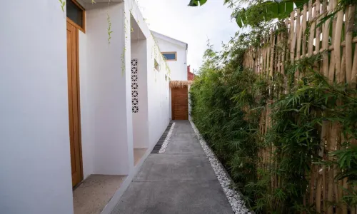 Tiga Studios - Adults Only