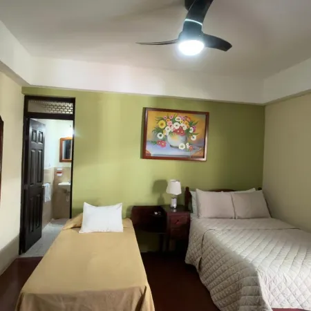 Hotel Vizcaíno León