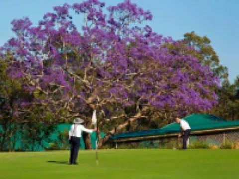Golf Club Motor Inn Wingham Hotels in Wingham