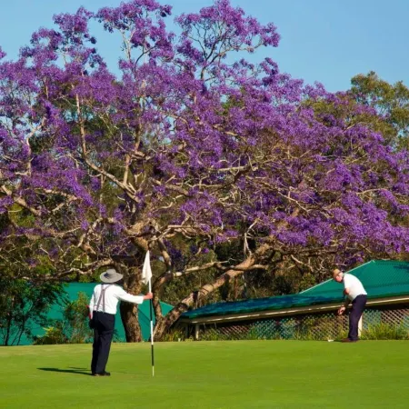 Golf Club Motor Inn Wingham Отели в г. Уингем