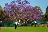 Golf Club Motor Inn Wingham فنادق في Wingham