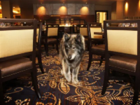 傑克遜蘭切利亞娛樂場酒店 阿馬多爾縣酒店