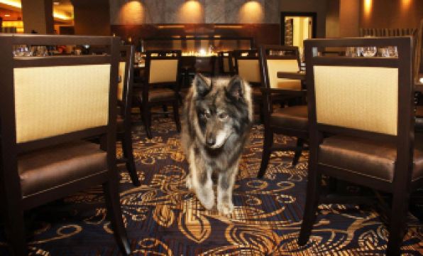 Jackson Rancheria Casino Resort