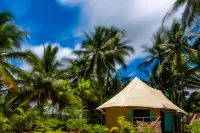 帆布和蘭花靜修飯店