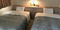 Hotel Muroran Hills - Deluxe İki Yataklı Oda - Sigara İçilebilir