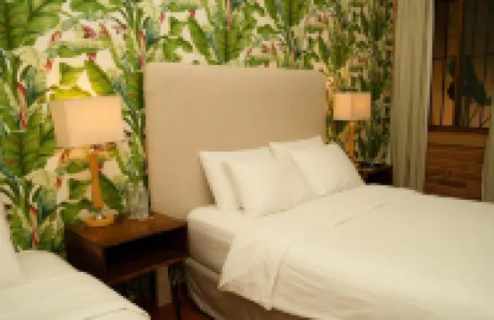 卡拉科拉 SPA 精品酒店 埃爾巴耶酒店