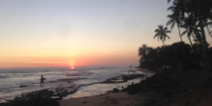 多利安餐廳及旅館