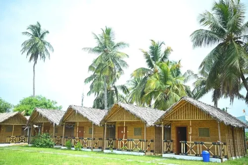 Coconut Tree Guest House