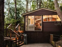Kondalilla Eco Resort Hotels in Nambour