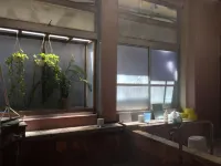 Daymaruya Ryokan - con terme
