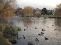 West End Lodge Hotels in Oxshott