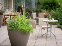 Vegan Health Hotel Sonnenberg Hotels in Hinterland