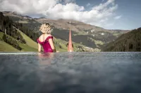 Aktiv- & Wellnesshotel Bergfried - Pools