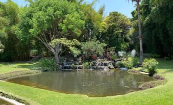 Huayacán Cuernavaca Curamoria Collection