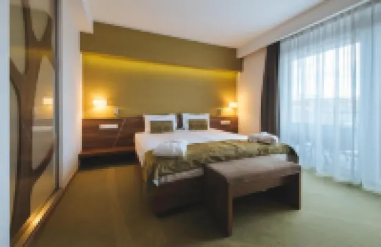 Imola Hotel Platan
