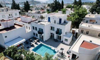 Swan Boutique Hotel