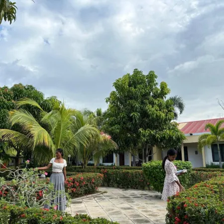 Palm Malinamoc Hotel