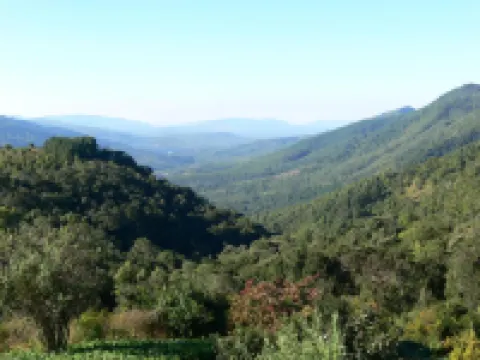 Magoebaskloof Getaway Hotels in Tzaneen