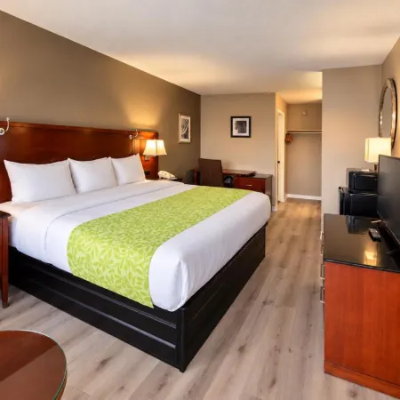 Rodeway Inn Jackson Northwest
