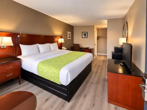 Rodeway Inn Jackson Northwest - Motels
