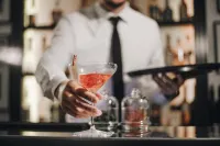 Hotel Villa Fanny - bar