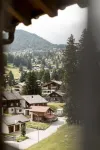 Hotel Waldhaus am See - Mountain view