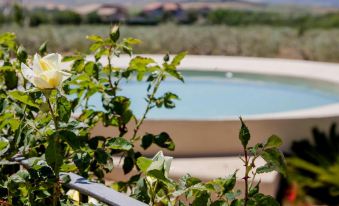 Resort Fontes Episcopi