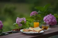 Phurua Bussaba Resort & Spa - breakfast