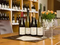 Gästehaus & Weingut Peth Hotels in Osthofen