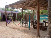 Mapache Hostel Hoteles en Holbox